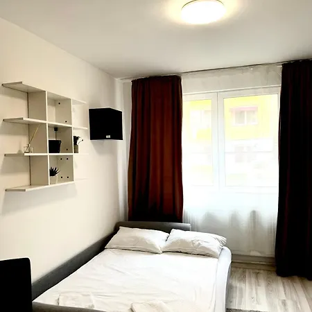 Simplu La Parter Apartment